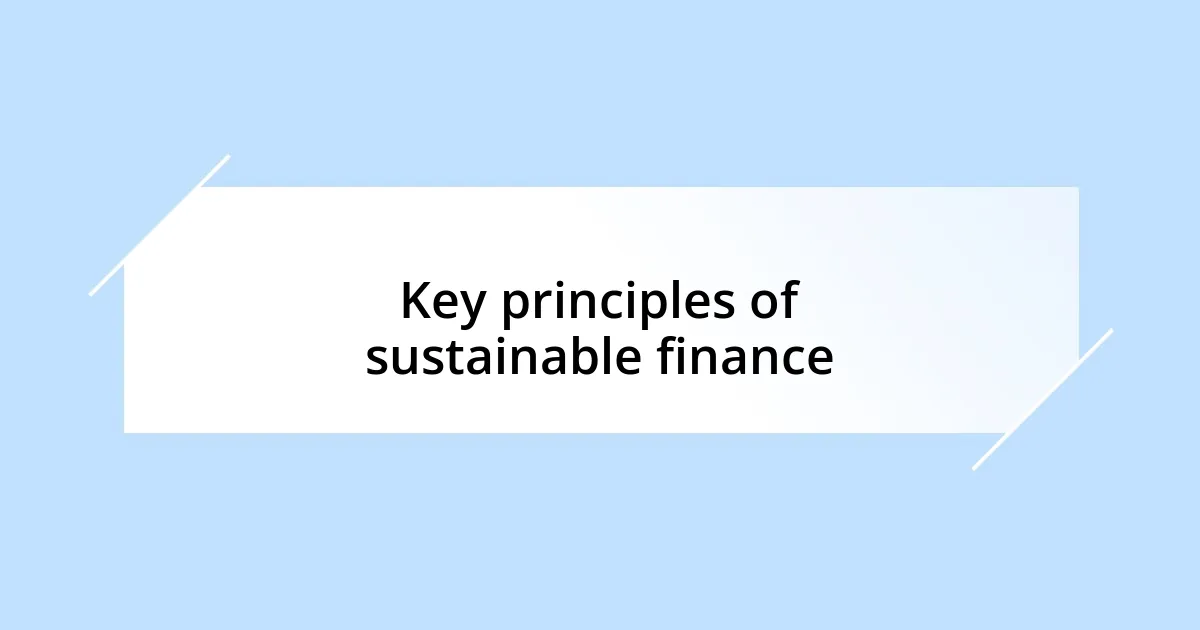 Key principles of sustainable finance