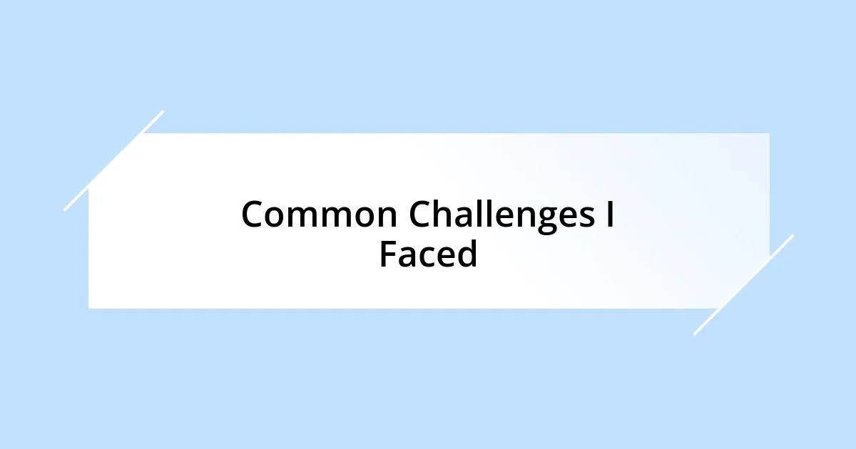 Common Challenges I Faced