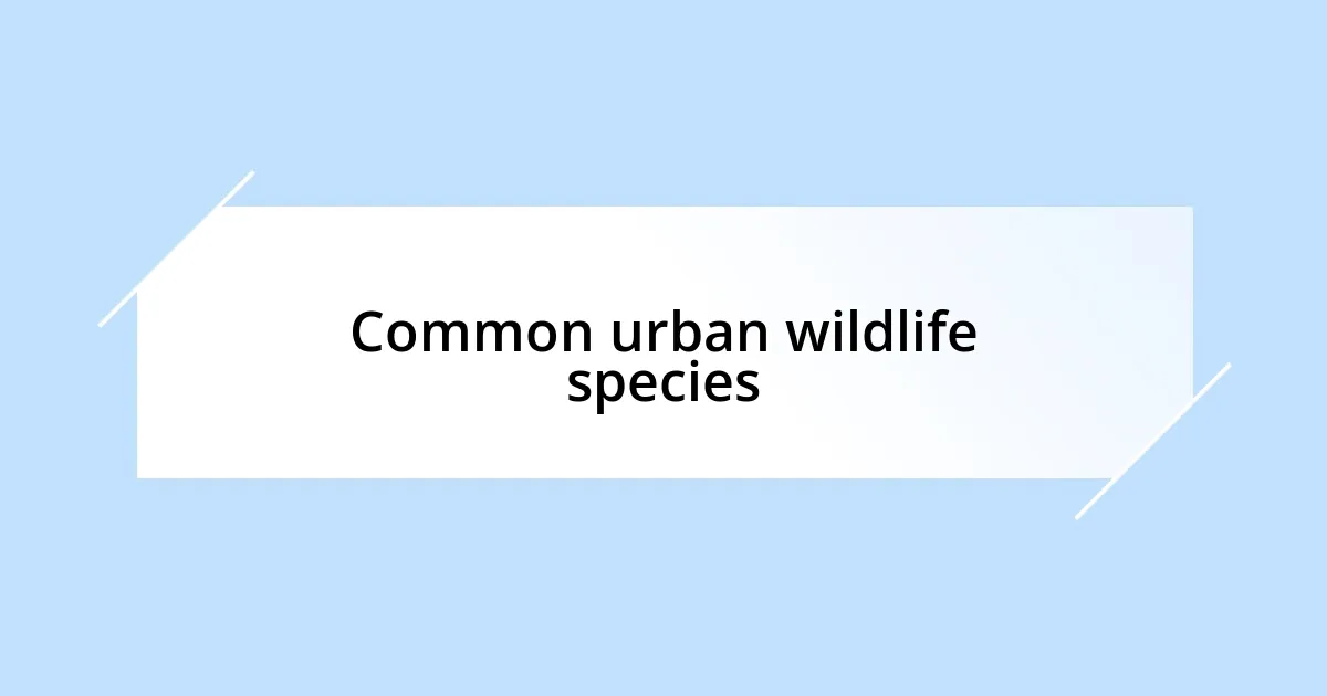 Common urban wildlife species