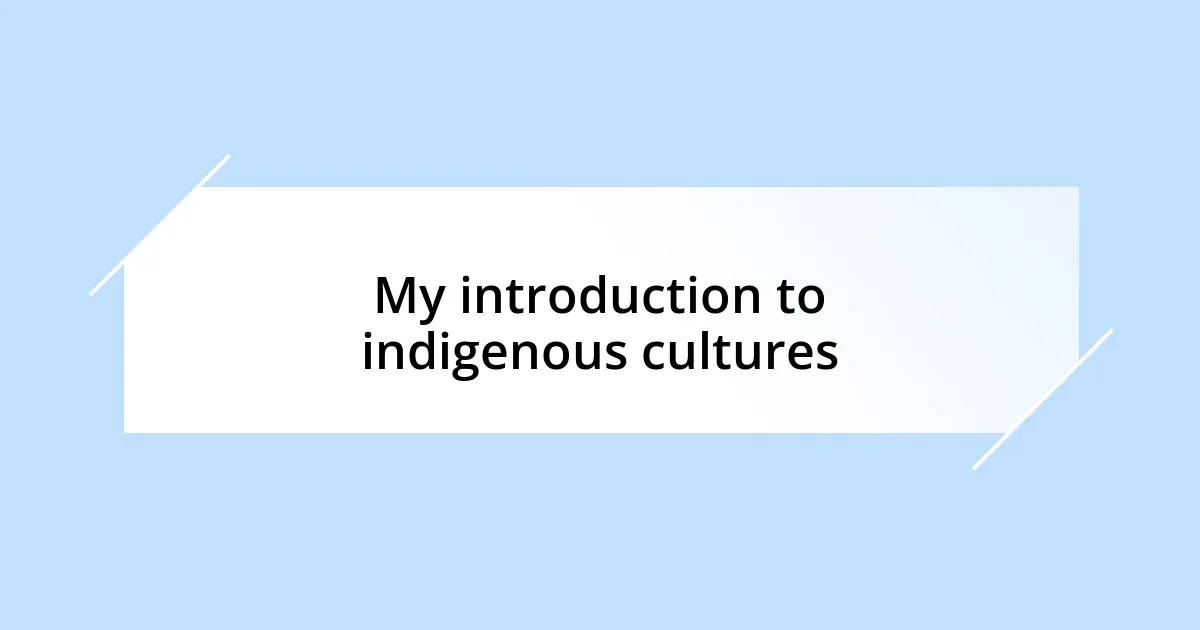 My introduction to indigenous cultures