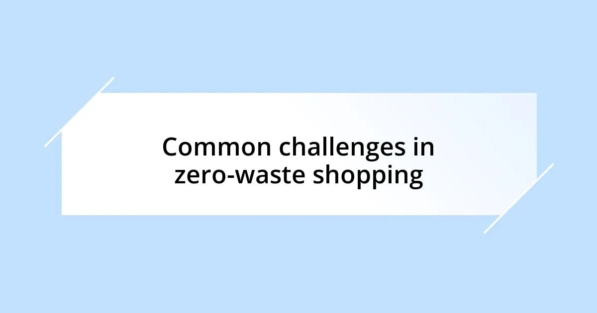 Common challenges in zero-waste shopping